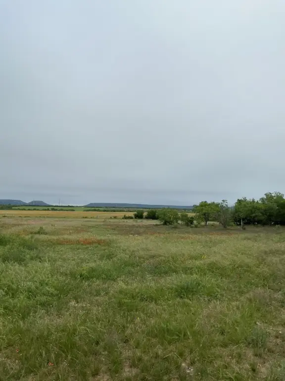 Picture 22