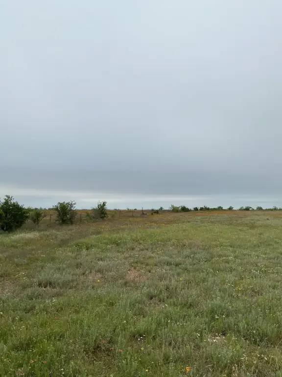 Picture 19