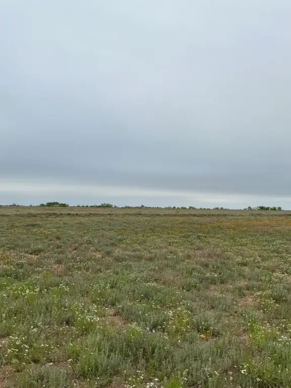 Picture 20