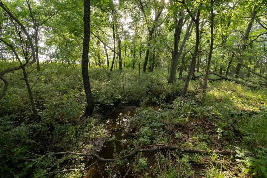 Picture 19