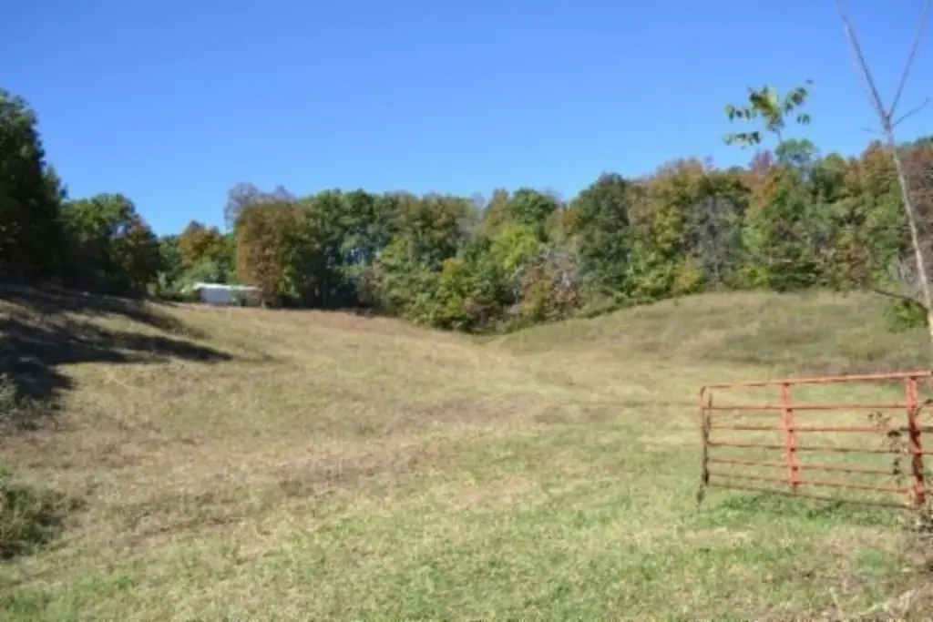 Picture 19