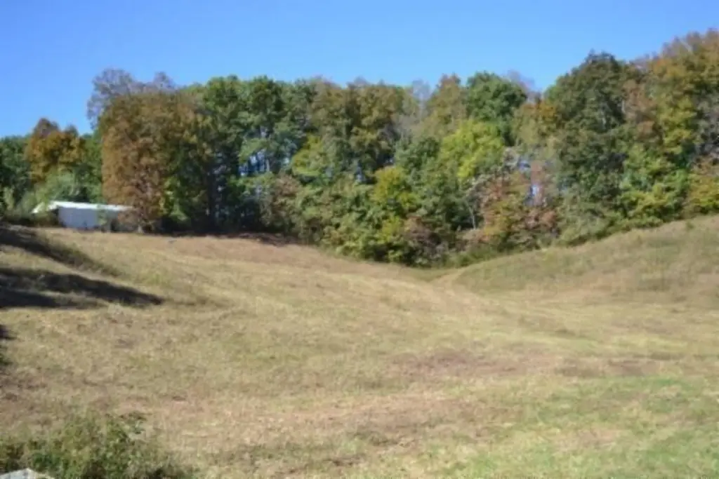 Picture 17