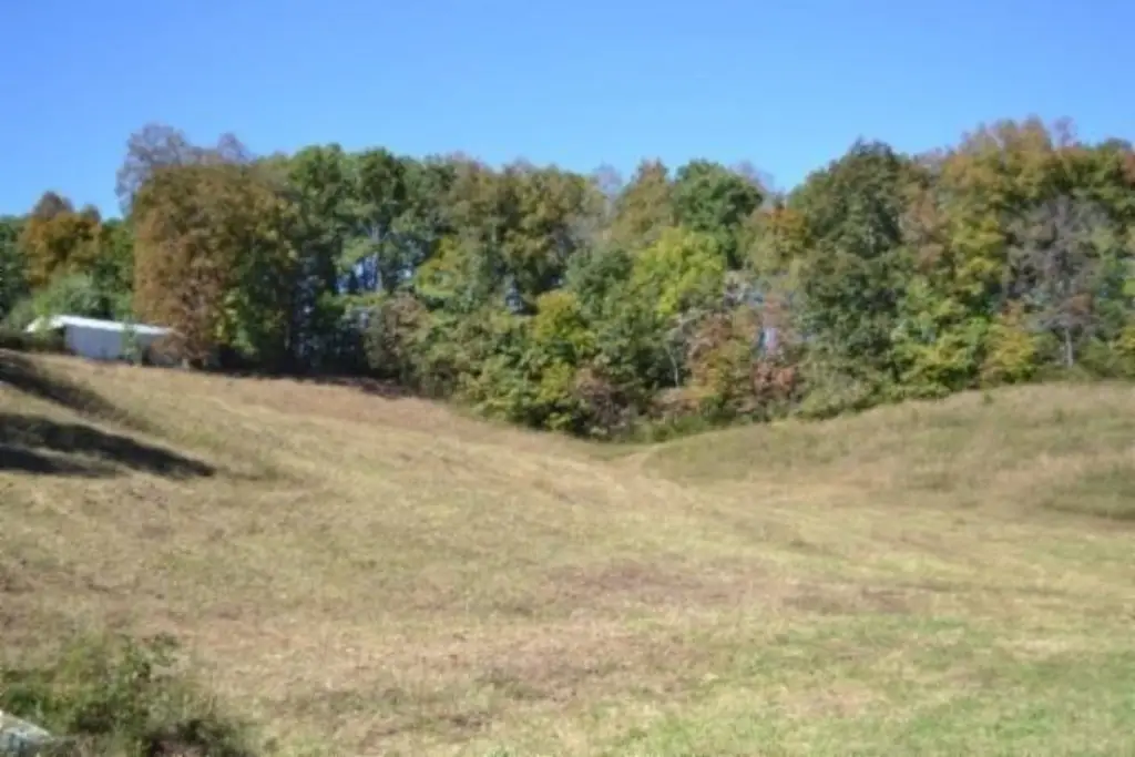Picture 16