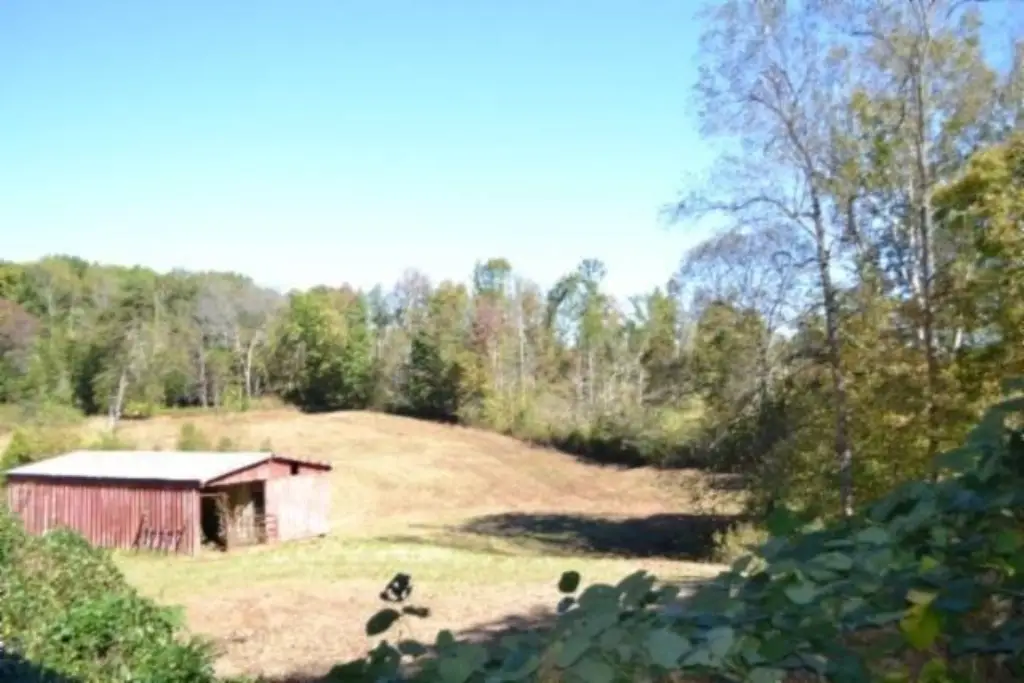 Picture 12