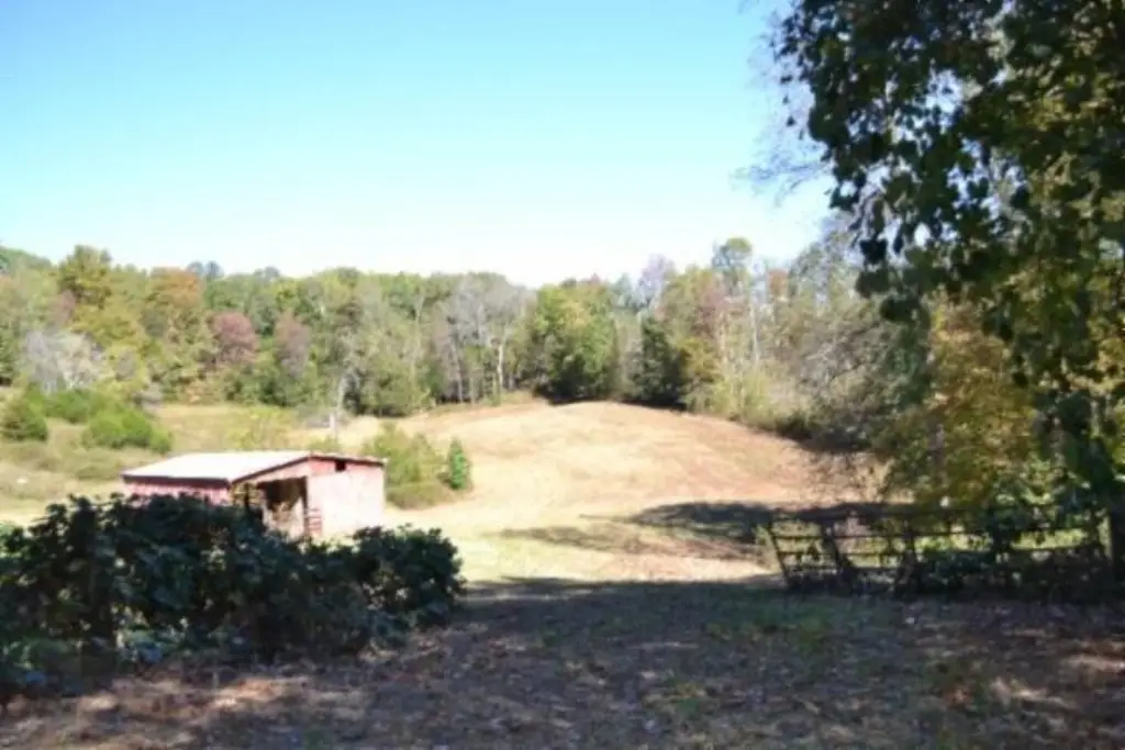 Picture 7