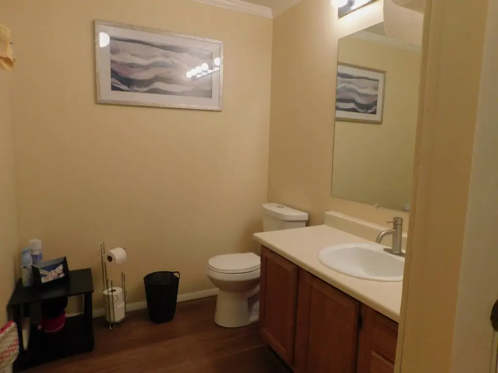Picture 8