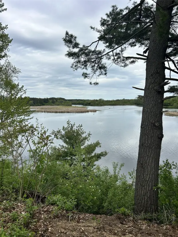 Picture 23