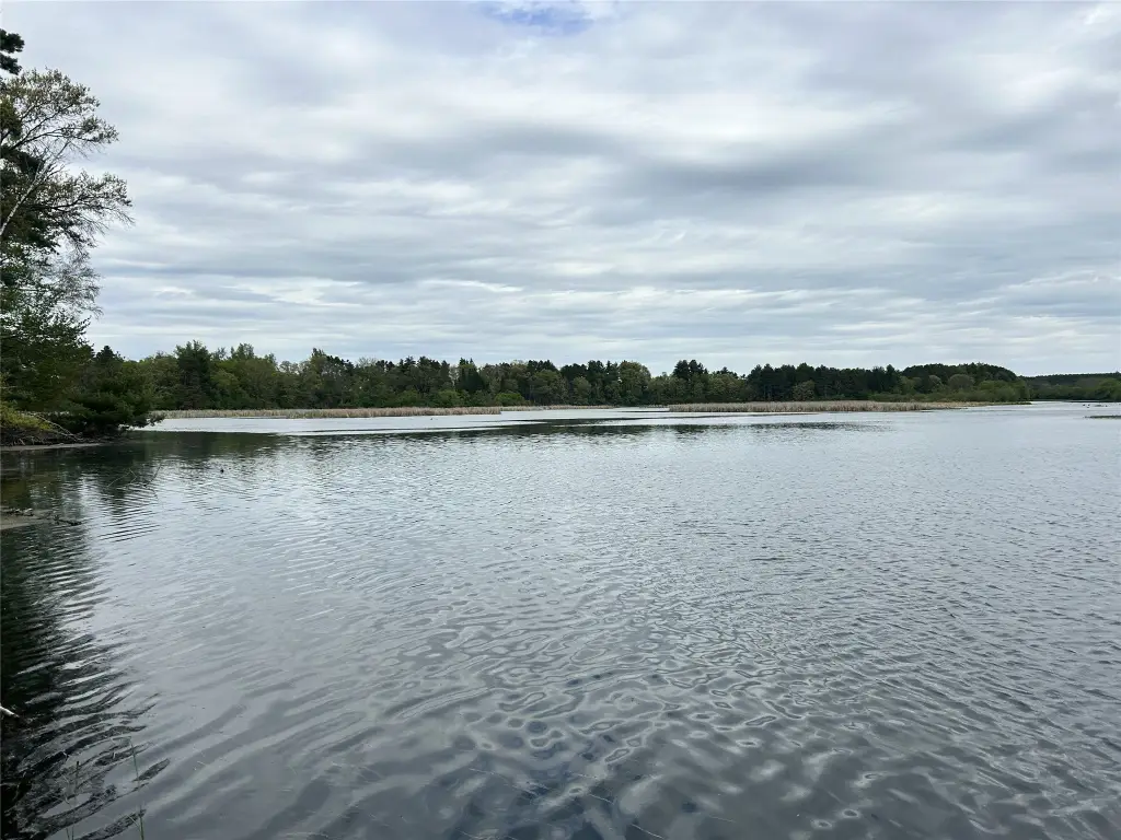 Picture 20
