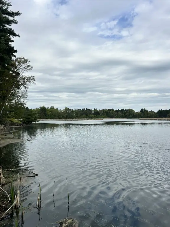 Picture 21