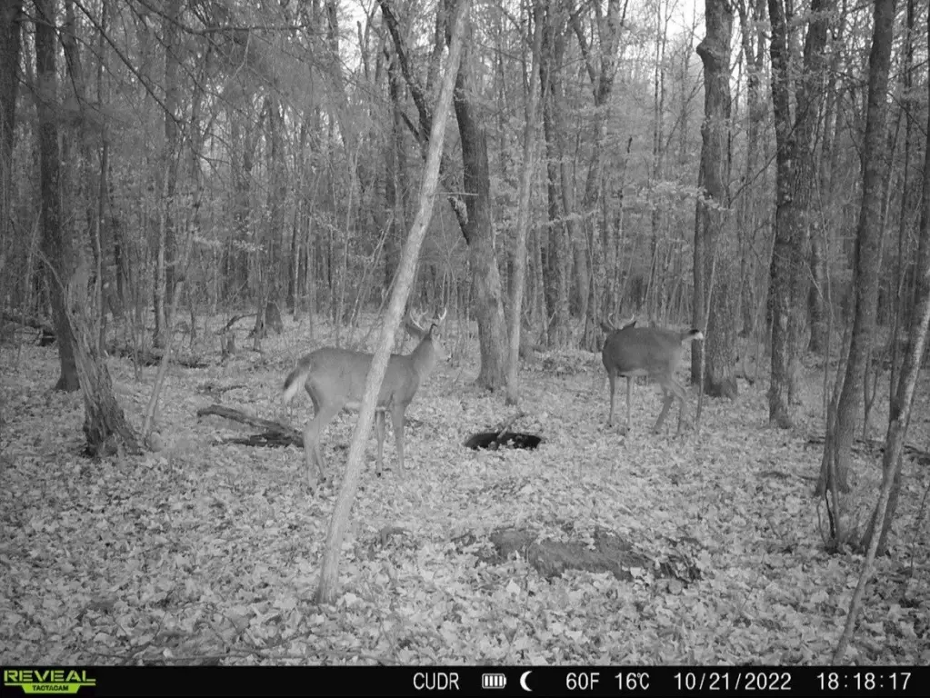 Picture 14