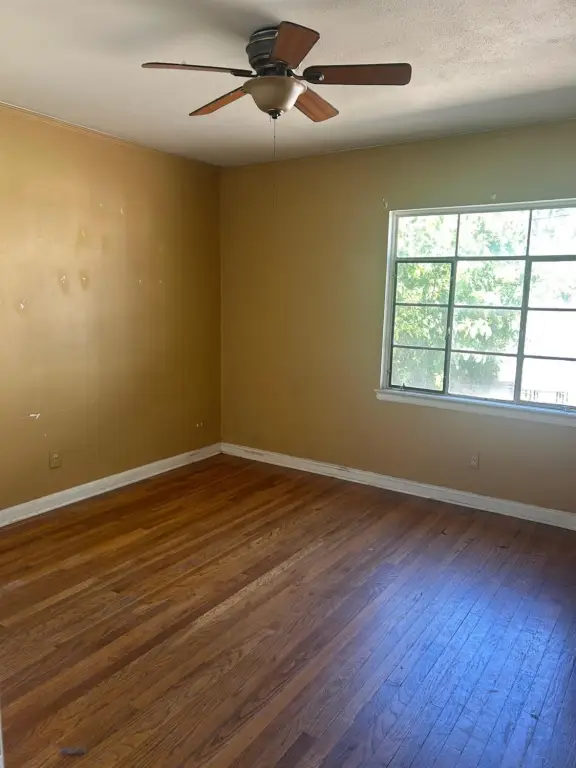 Picture 10