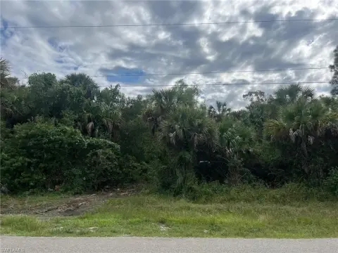Residential Land in Naples, Florida