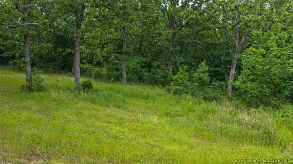 Picture 4