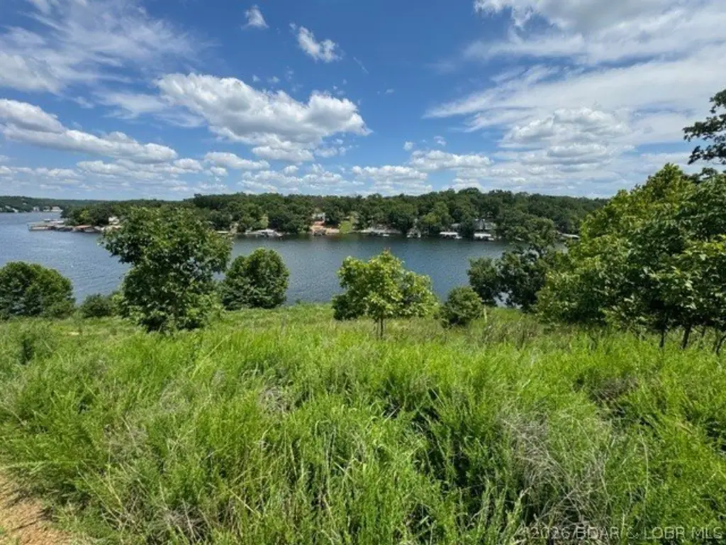 Picture 29