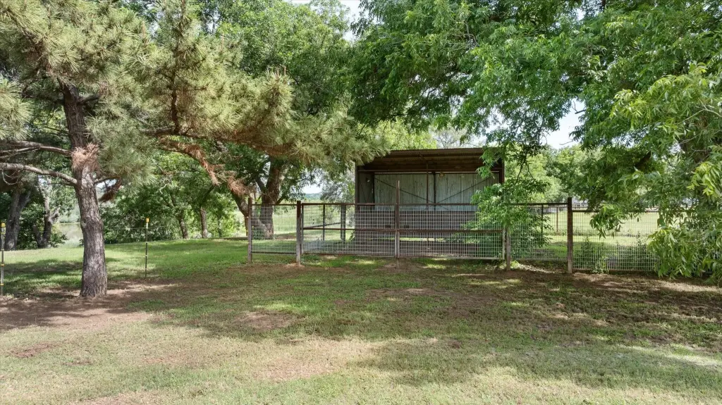 Picture 21