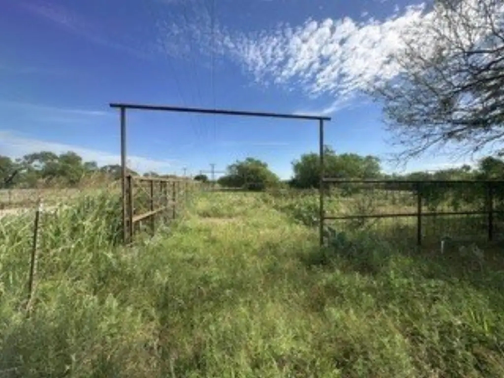 Picture 8