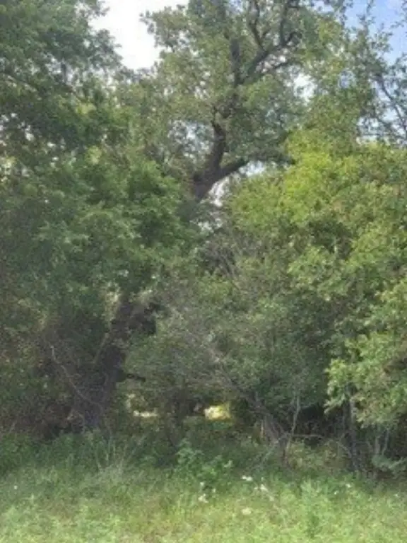 Picture 11