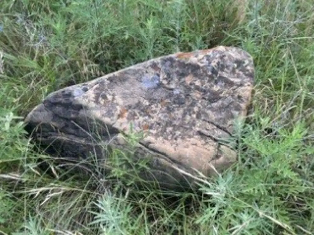 Picture 22
