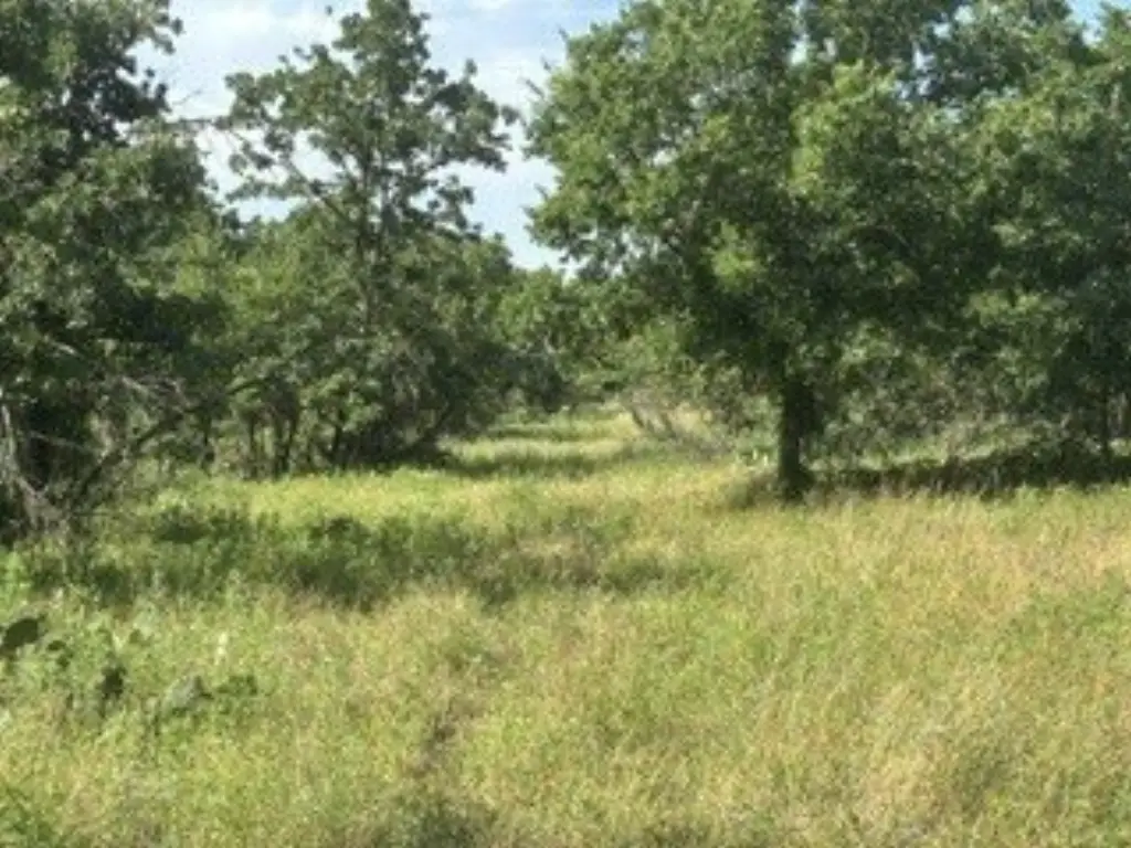 Picture 16