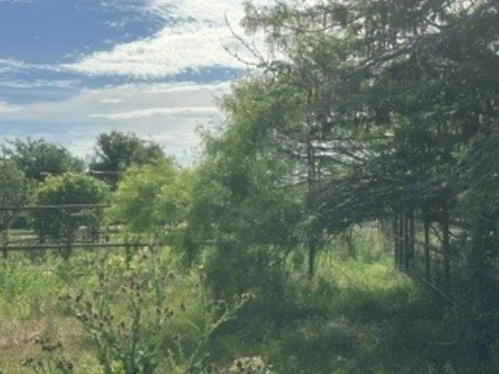 Picture 7