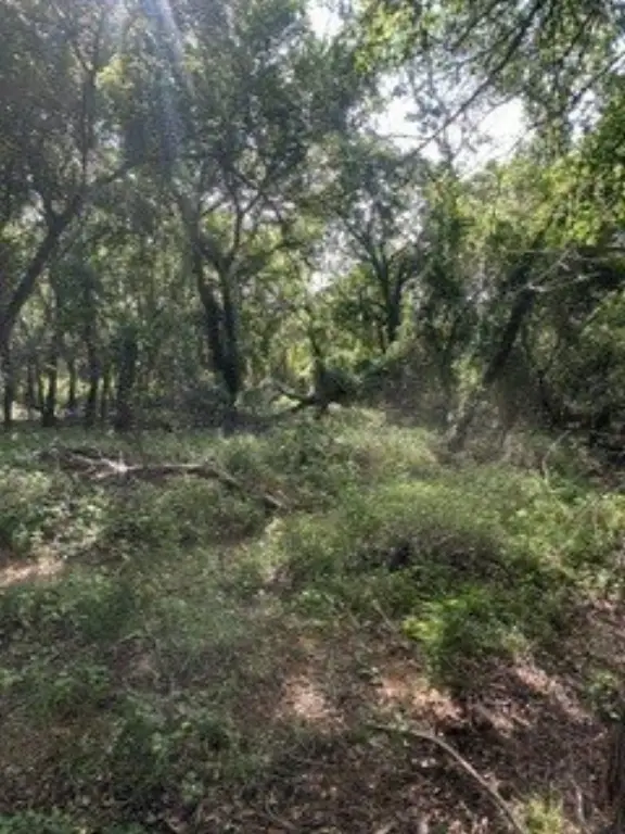 Picture 20