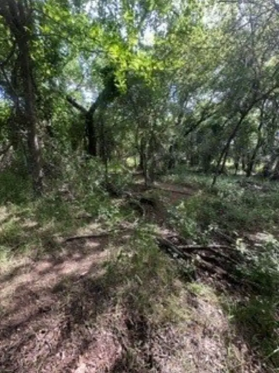 Picture 18