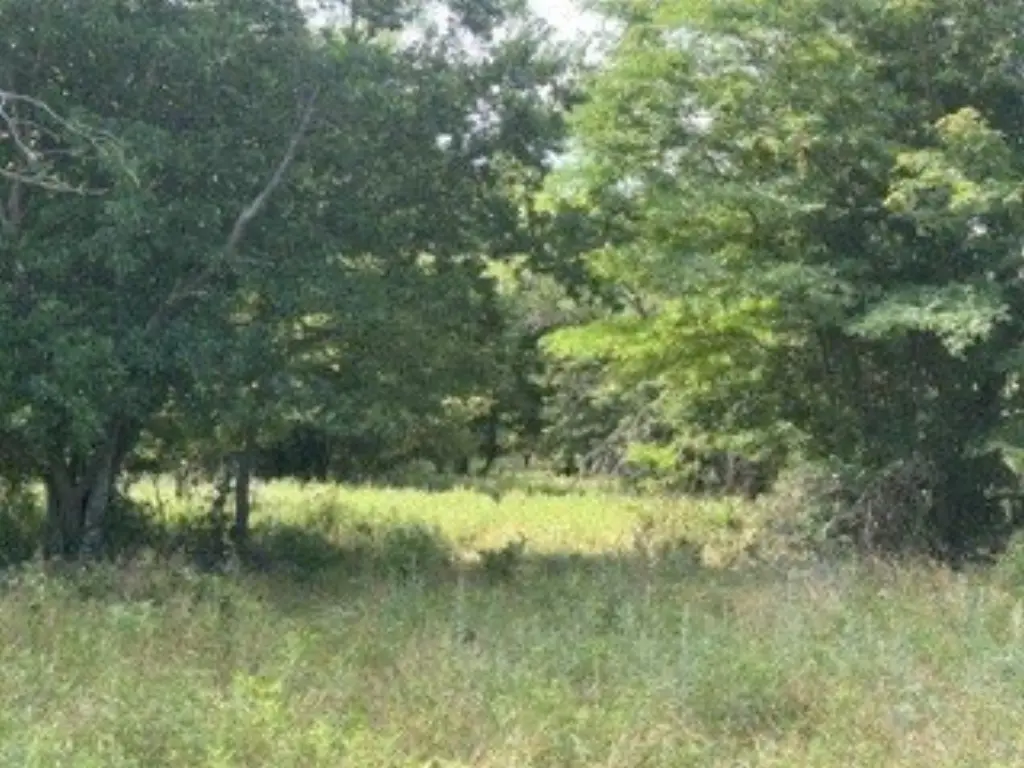 Picture 12