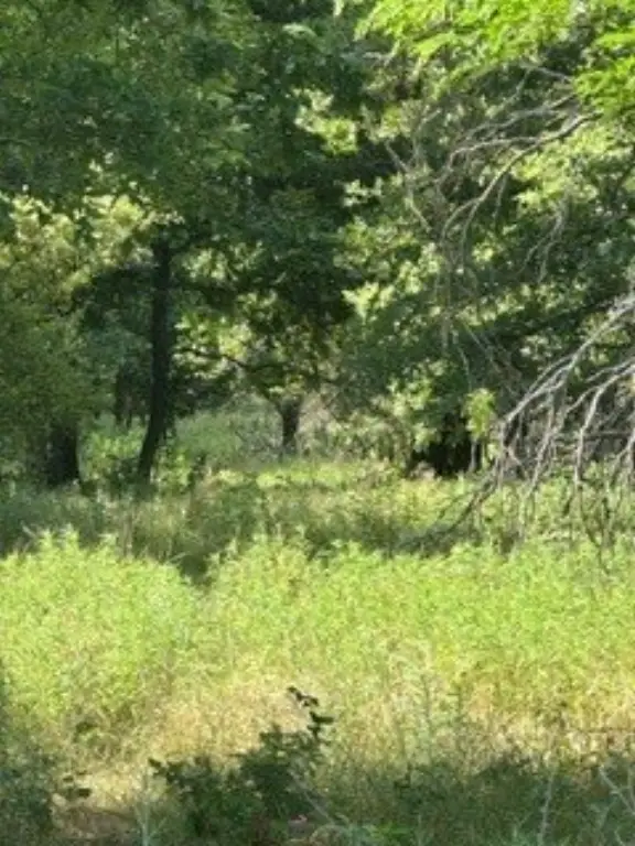Picture 13