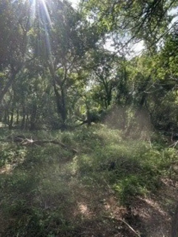 Picture 19