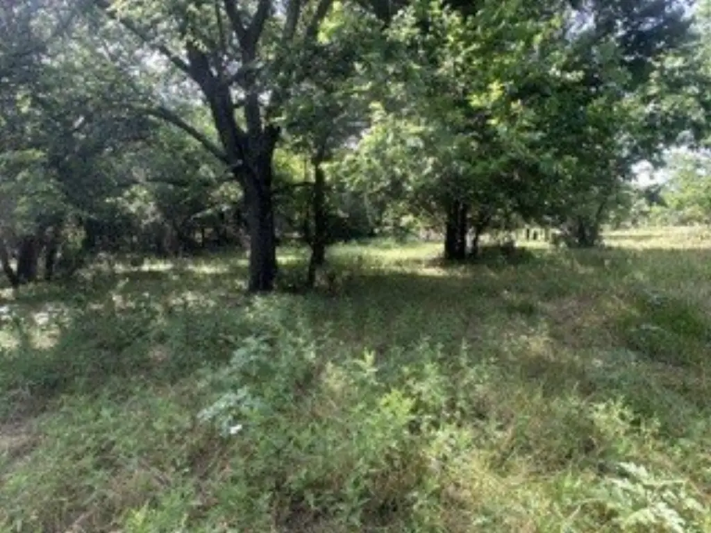 Picture 14
