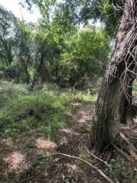 Picture 21