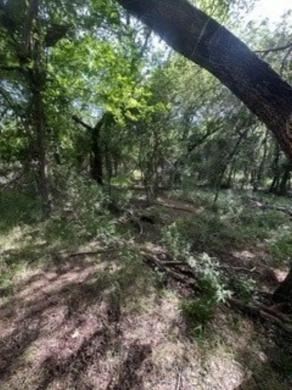 Picture 17