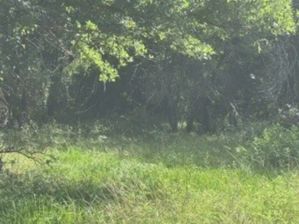 Picture 15