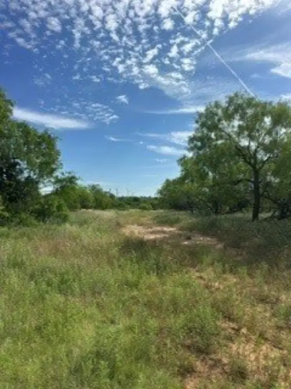 Picture 23