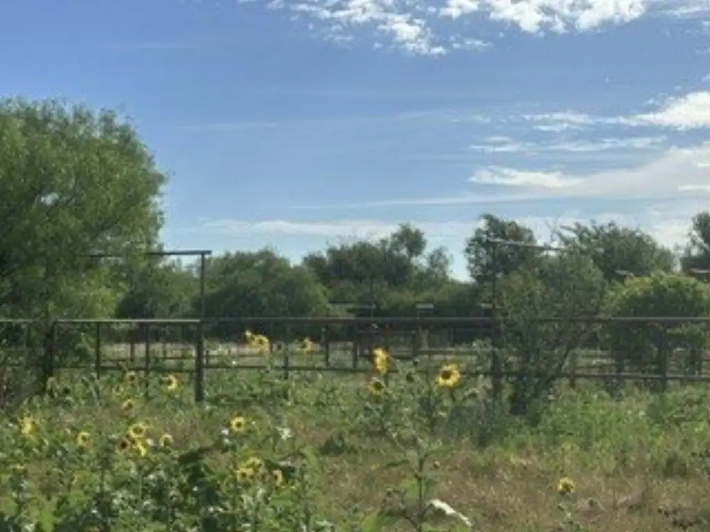 Picture 6