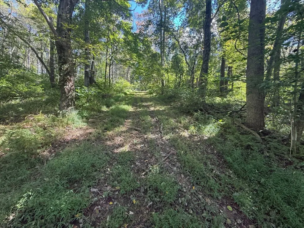 Picture 41
