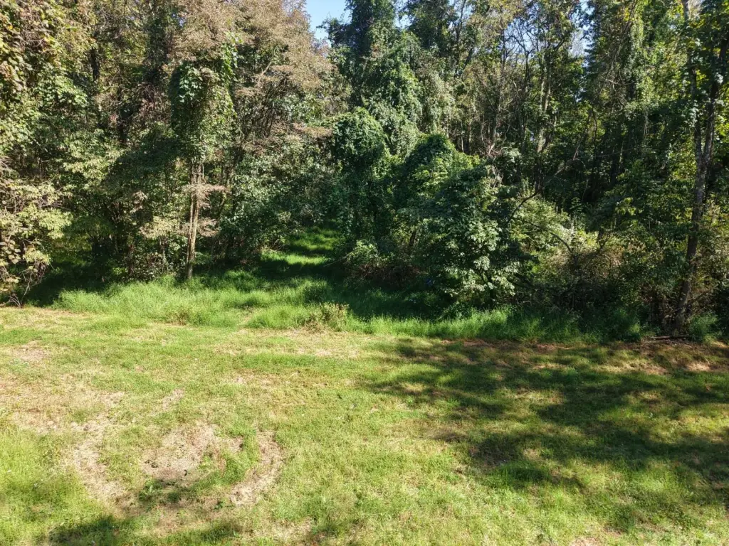 Picture 27