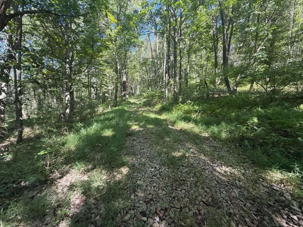 Picture 38