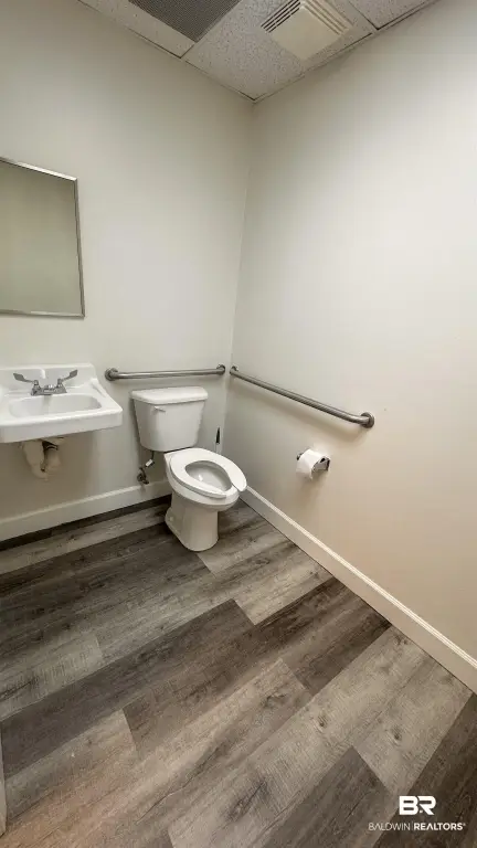 Picture 15