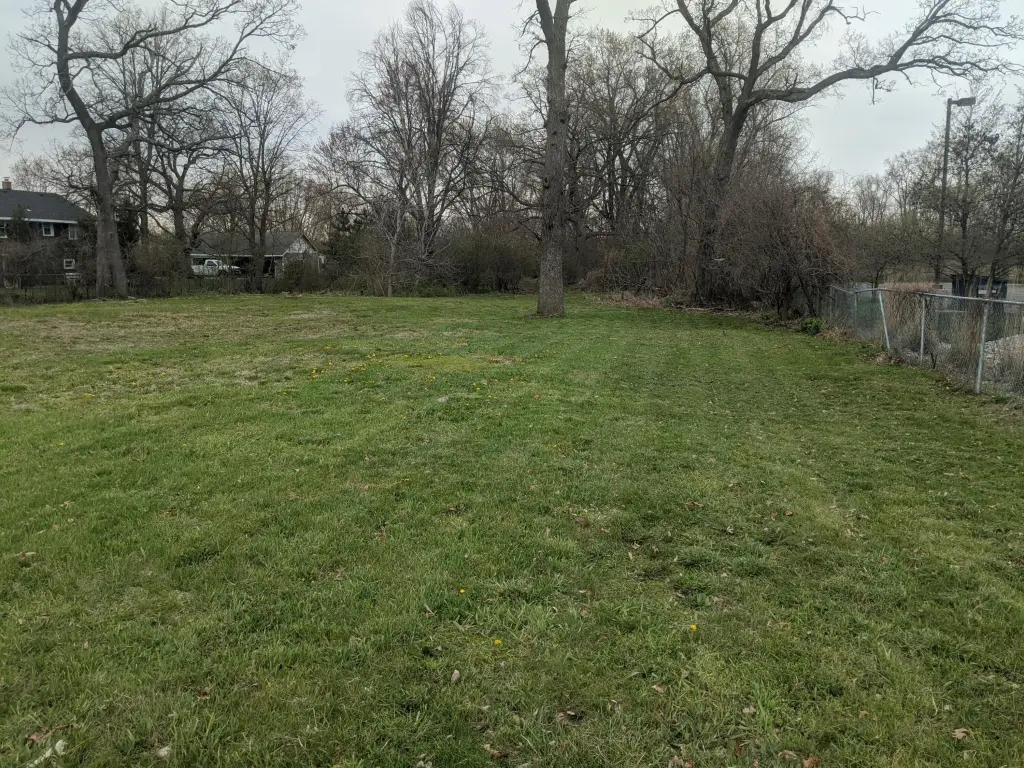 Picture 6