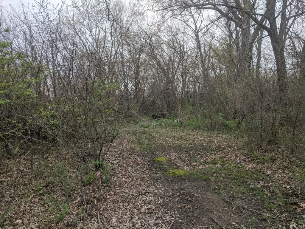 Picture 7
