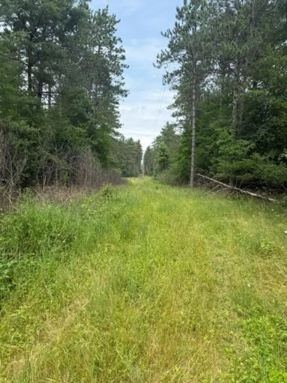 Picture 3