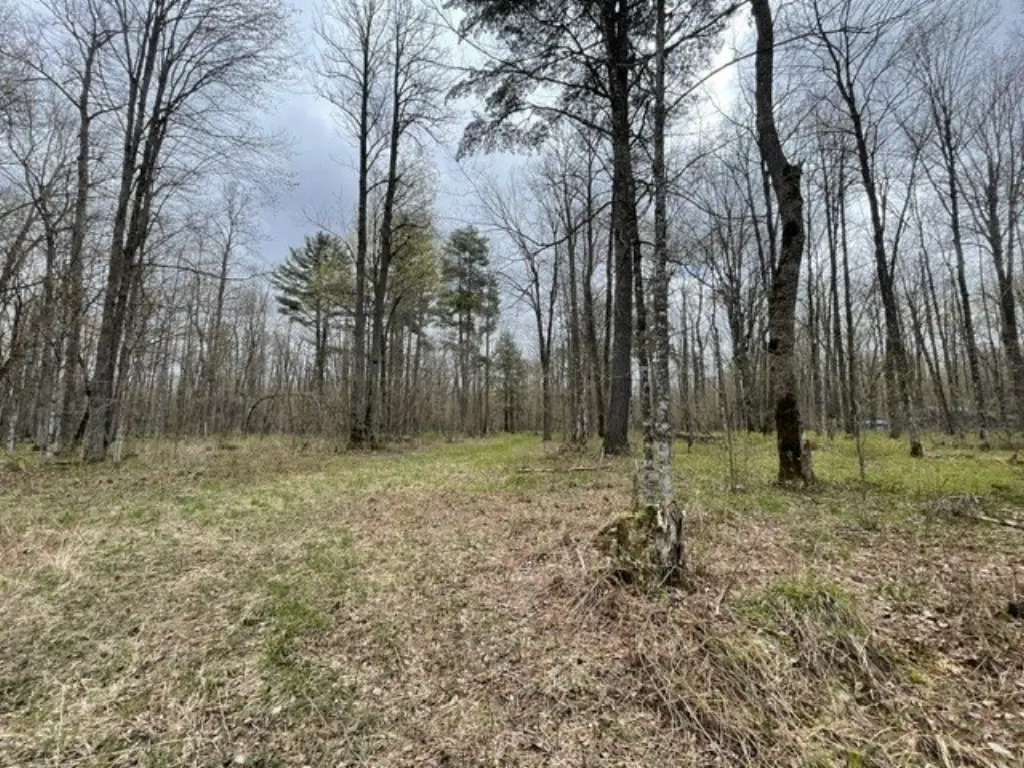 Picture 10