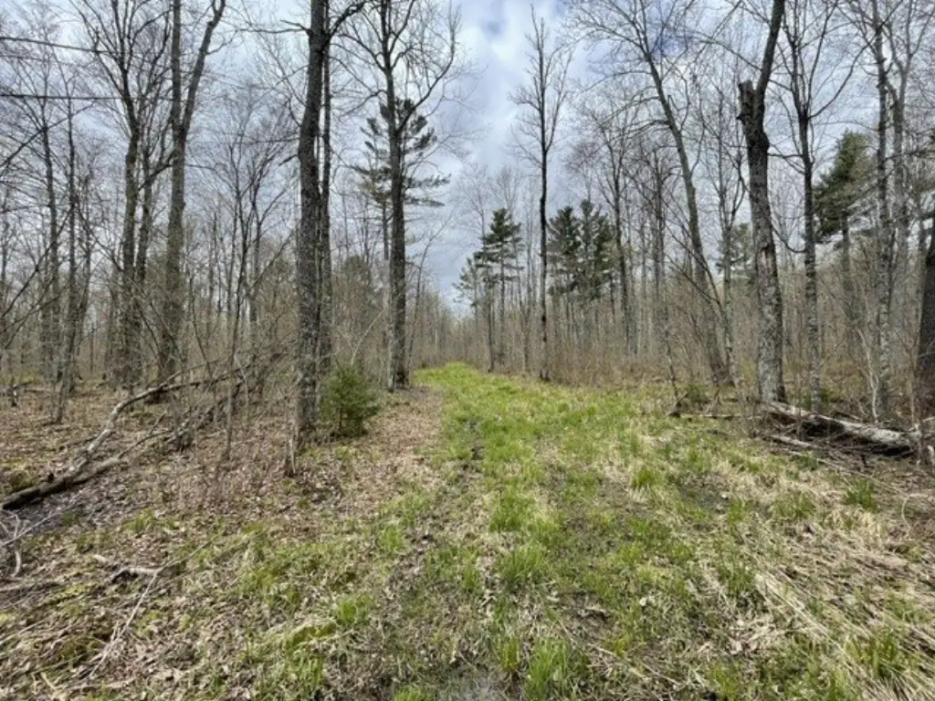 Picture 7
