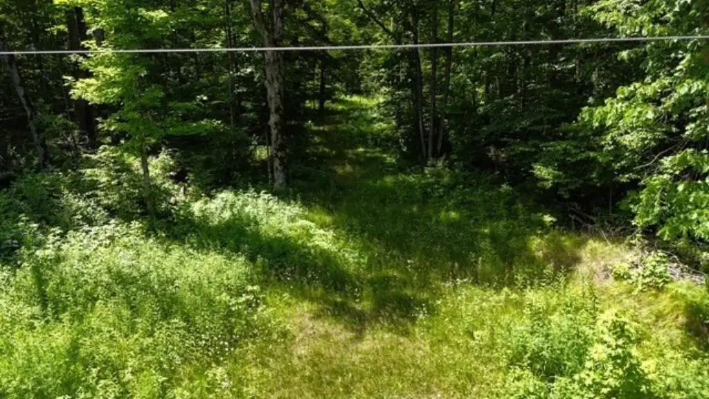 Picture 13