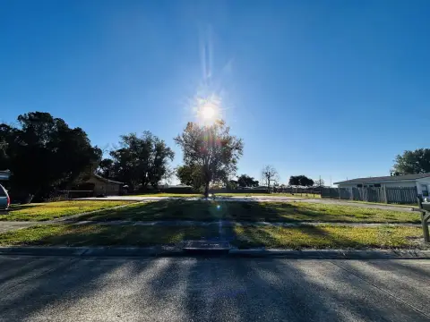 Two Lots with Mature Tree