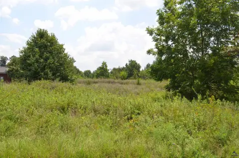 Zoned Commercial Land with Road Frontage