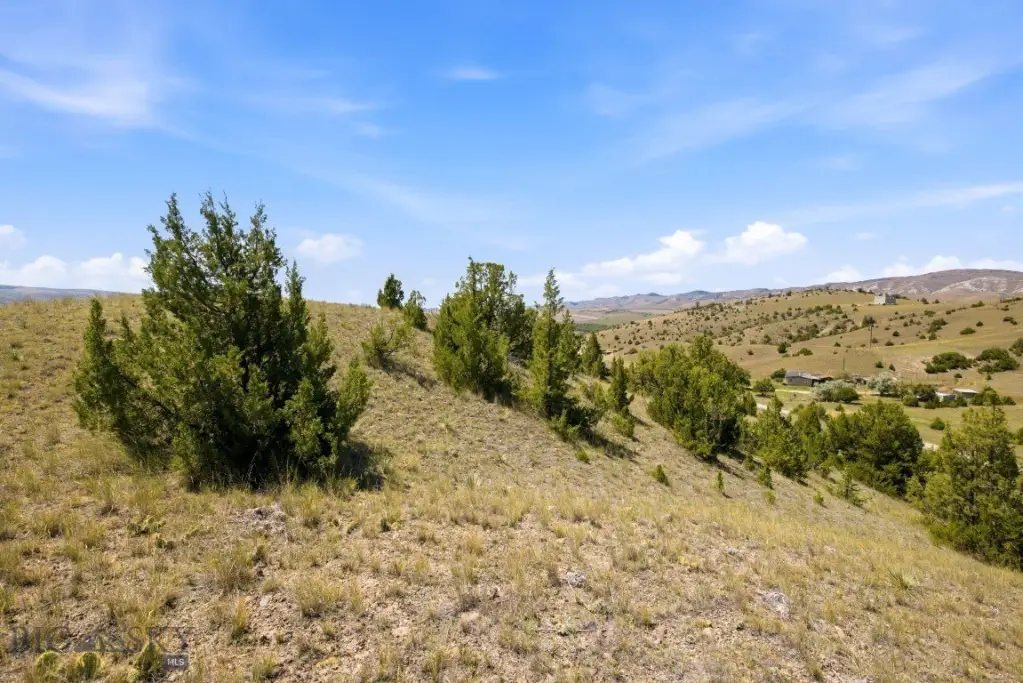 Picture 27