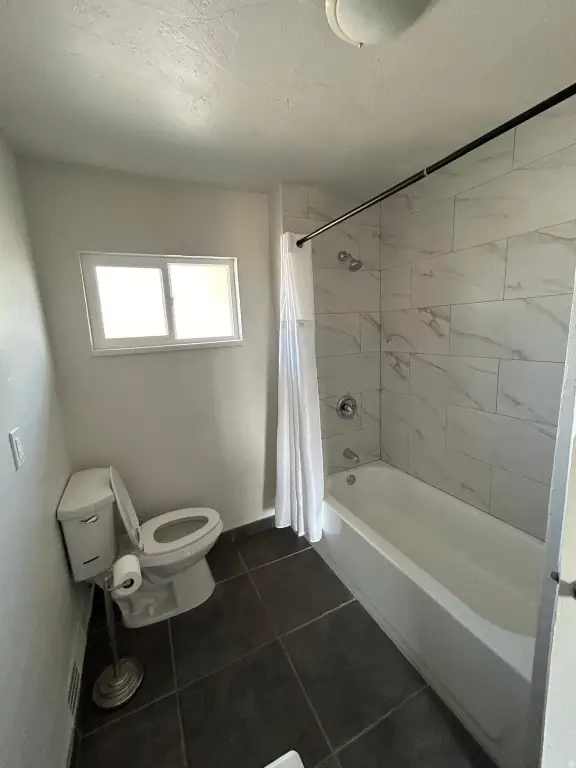 Picture 7