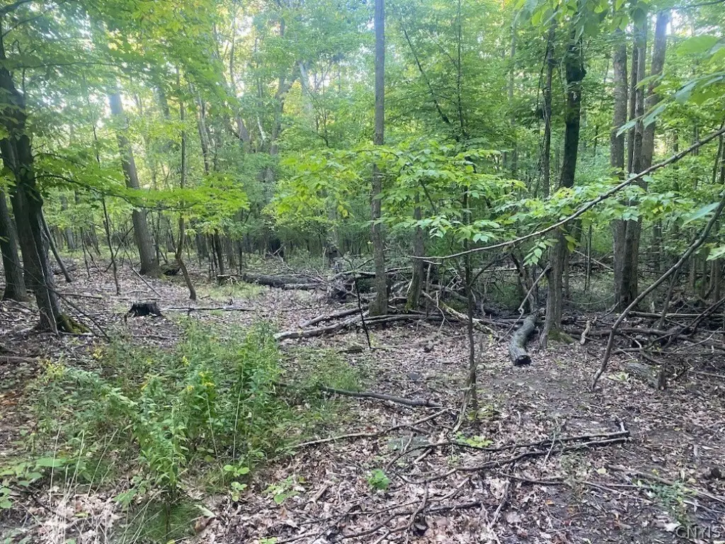 Picture 18